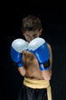 a child boxer in studio.