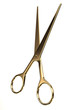 Gold scissors
