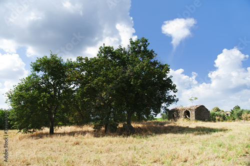 Photo: Campagna Campagna