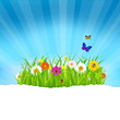 Green Grass With Flowers And Paper Green Grass With Flowers And Paper