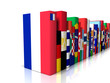LIBRO FRANCIA