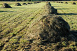 hay stacks