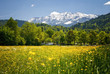 Landscape in the bavarian Alps. Selective focus Landscape in the bavarian Alps. Selective focus