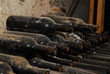 Bouteille au repos