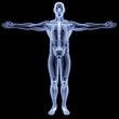 body