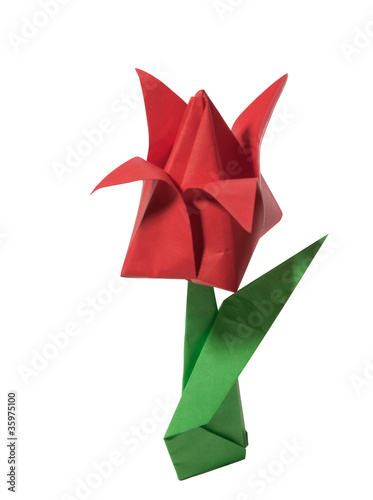 Photo: Origami red tulip isolated on white Origami red tulip isolated on white
