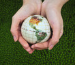 Save the world.