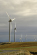 Photo: éoliennes éoliennes