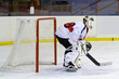hockey goalie