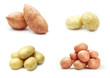 Photo: Four varieties of potatoes on white background Four varieties of potatoes on white background