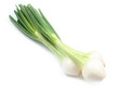 Photo: Spring onion on white background Spring onion on white background