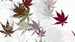 Fall Into Winter Nature Background Fall Into Winter Nature Background
