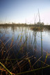 Okavango Delta - Botsuana / Botswana - Africa
