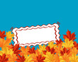 Autumn leaves background Autumn leaves background