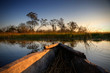 Photo: Okavango Delta - Botsuana / Botswana - Africa Okavango Delta - Botsuana / Botswana - Africa