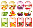 Set of labels with berries and fruit. Vector. Set of labels with berries and fruit. Vector.