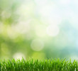 spring background