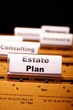 real estate plan