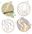 Vector set of abstract drawing animal. Vulture