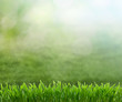 Foto: soccer ball soccer ball