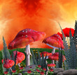 Funghi incantati