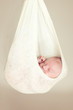 Photographie : Newborn baby sleeping in a hammock
