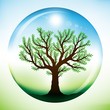 Summer tree inside glass globe