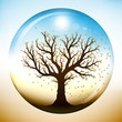 Autumn tree inside glass globe Autumn tree inside glass globe