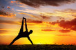 Yoga silhouette Vasisthasana plank pose