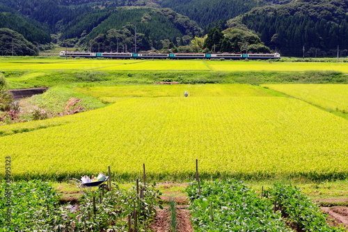 Foto: 田園地帯を行く電車 田園地帯を行く電車