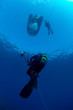 divers