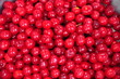 cherry background cherry background