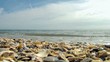 am Meer
