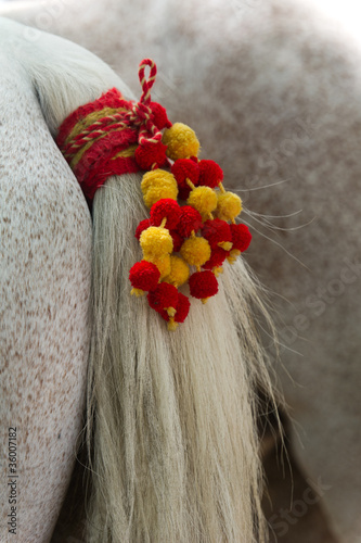 Foto: Fête Provençal - Ornement traditionnel du cheval Fête Provençal - Ornement traditionnel du cheval