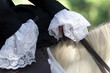Fête provençal - Costume détail