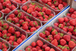 Photo: Strawberries Strawberries