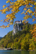 Panorama of Bled in autumn.