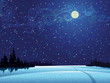 Night snow landscape