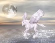Bellissimo cavallo alato che corre nel mare