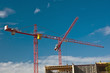 Photo: Crane Crane