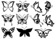 Butterflies Summer