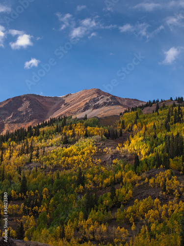 Photo: Autumn Autumn