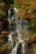 滝