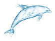 dolphin made out of water splashes dolphin made out of water splashes
