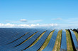 Alpes de hautes provence, Puimichel, ferme solaire des Mées
