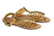 Pair of brown leather female sandals
