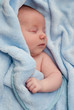 bébé