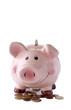 piggy bank