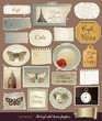 Vector collection of old papers