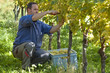 Vintner in the wineyard